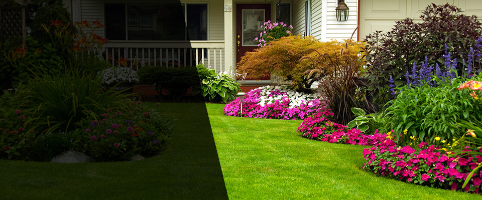 Renton Landscapers